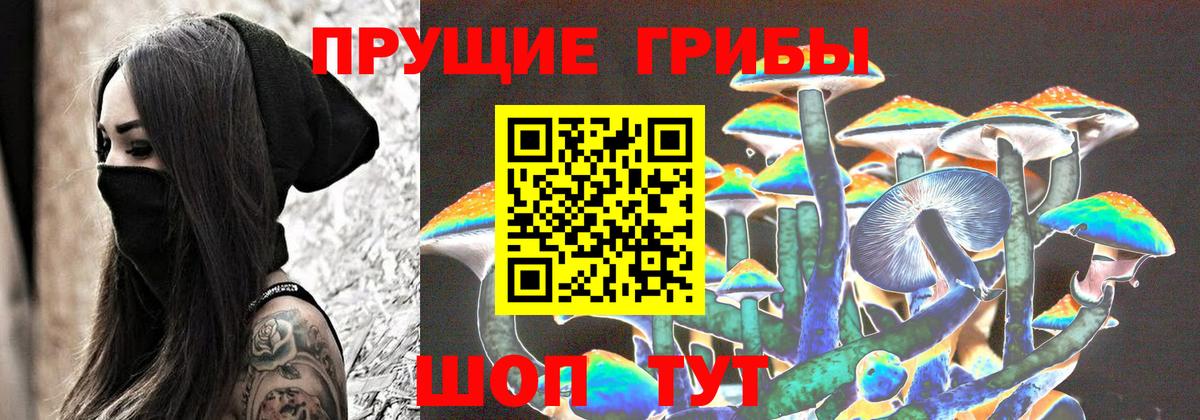 Галлюциногенные грибы MAGIC MUSHROOMS  закладки  Карабулак  Вход с VPN  Псилоцибиновые грибы Psilocybe 